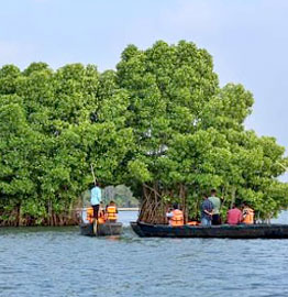 Starlight residency, Munroe Island Boating, we offer the best boat tour in munroe island, Image